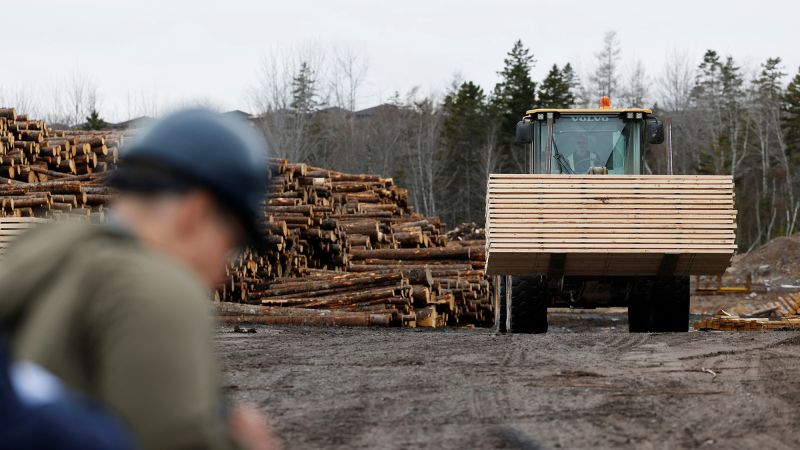 US to Double Duties on Canadian Lumber Amid Ongoing Trade Dispute